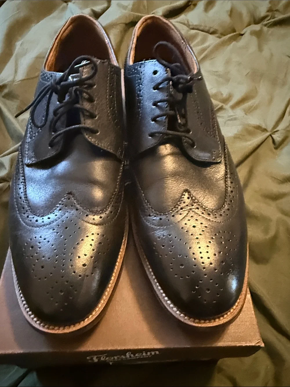 Florsheim elegant wingtip